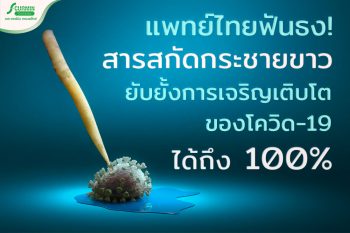 Read more about the article งานวิจัย สารสกัดกระชายขาว ยับยั้งไวรัสโควิด-19 ได้