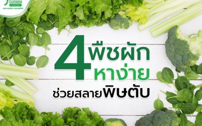 4 พืชผักหาง่าย ช่วยสลายพิษตับ