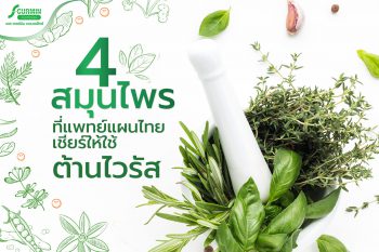 Read more about the article ปักธงแล้ว ? สุดยอด 4 สมุนไพรไทย …ที่สมควรกินเอาไว้ต้านไวรัส