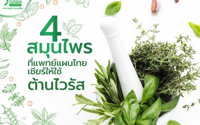 ปักธงแล้ว ? สุดยอด 4 สมุนไพรไทย …ที่สมควรกินเอาไว้ต้านไวรัส