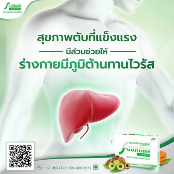 Read more about the article สุขภาพตับที่แข็งแรง มีส่วนช่วยให้ร่างกายมีภูมิต้านทานไวรัส