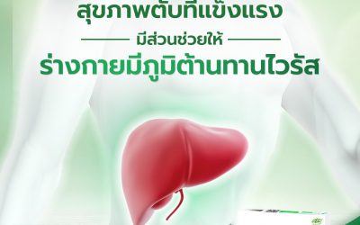 สุขภาพตับที่แข็งแรง มีส่วนช่วยให้ร่างกายมีภูมิต้านทานไวรัส