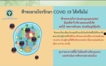 Read more about the article ยาฟ้าทะลายโจร ยาสามัญประจำบ้าน ที่ต้องมีติดบ้านไว้ตอนนี้!