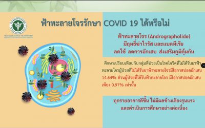 ยาฟ้าทะลายโจร ยาสามัญประจำบ้าน ที่ต้องมีติดบ้านไว้ตอนนี้!
