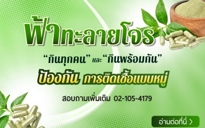 ข้อเสนอกินฟ้าทะลายโจร “พร้อมกัน”ทุกสถานที่ซึ่งมีการติดเชื้อ เพื่อ “บำบัดรวมหมู่” / ปานเทพ พัวพงษ์พันธ์